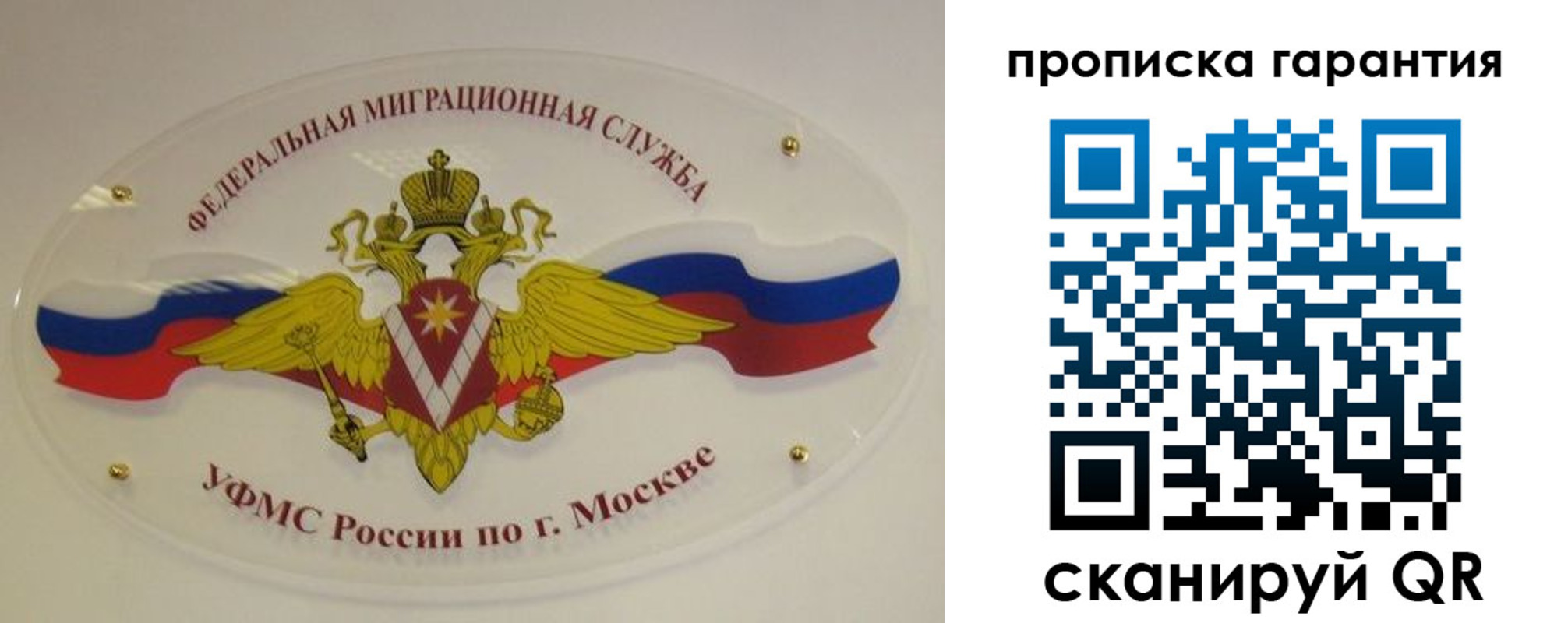 прописка штамп в Зверево